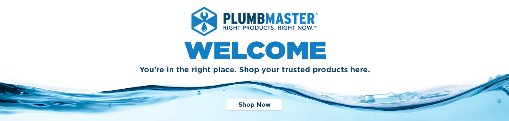 WebBanner_PlumbMaster.png