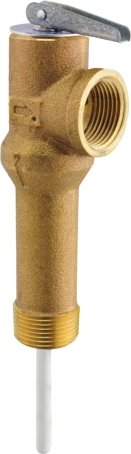 Rheem® SP12575B ProTech 3/4 x 3/4 Relief Valve For Water Heater - MPT x FPT