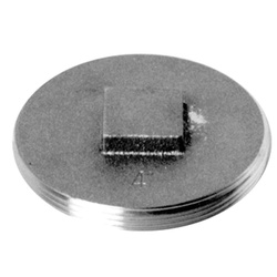 Wolverine Brass® 55030W 2-1/2 CAST BRASS RAISED