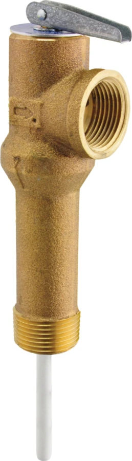 Rheem® SP12575B ProTech 3/4 x 3/4 Relief Valve For Water Heater - MPT x FPT